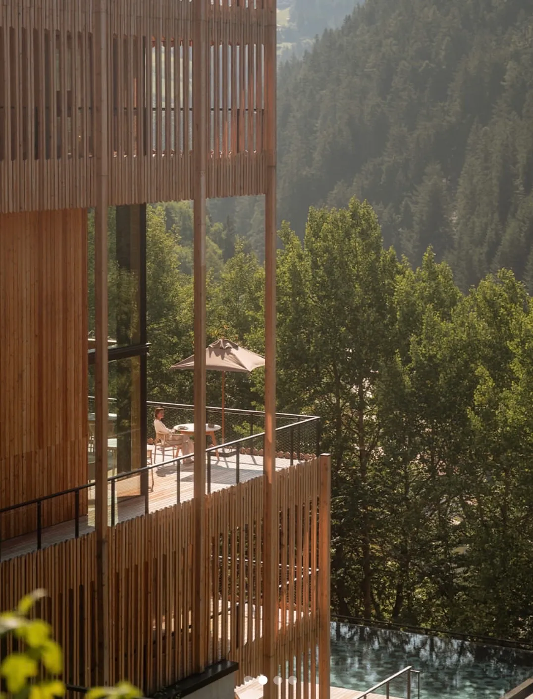 Timber architecture and forest views at ENGEL AYURPURA